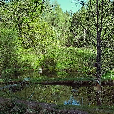 Gut Lauterbad Hotel Freudenstadt Luaran gambar