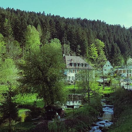 Gut Lauterbad Hotel Freudenstadt Luaran gambar
