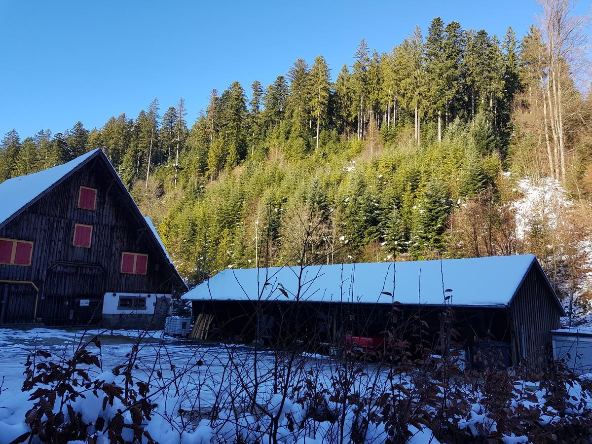 Gut Lauterbad Hotel Freudenstadt Luaran gambar