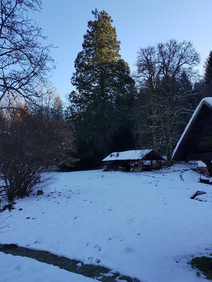 Gut Lauterbad Hotel Freudenstadt Luaran gambar