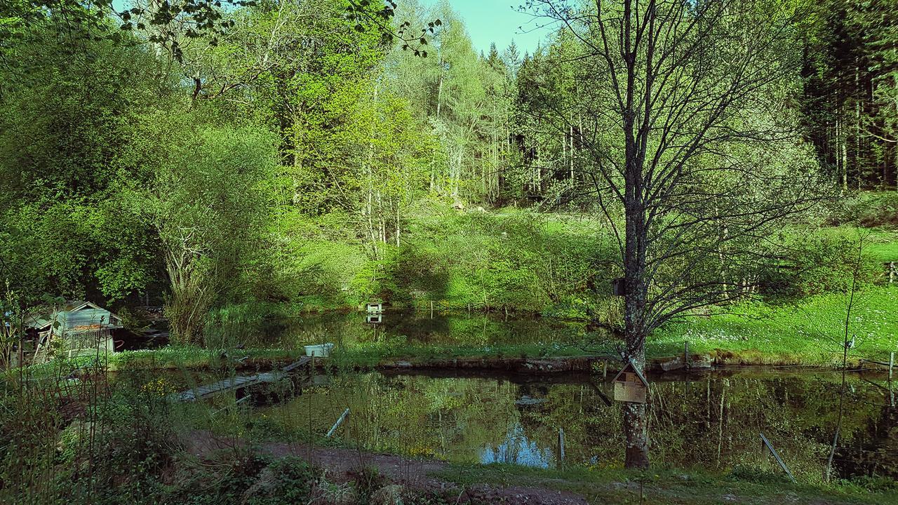 Gut Lauterbad Hotel Freudenstadt Luaran gambar