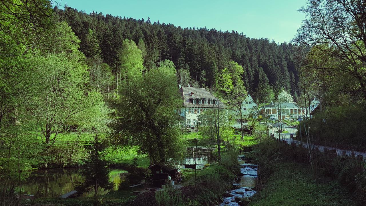 Gut Lauterbad Hotel Freudenstadt Luaran gambar