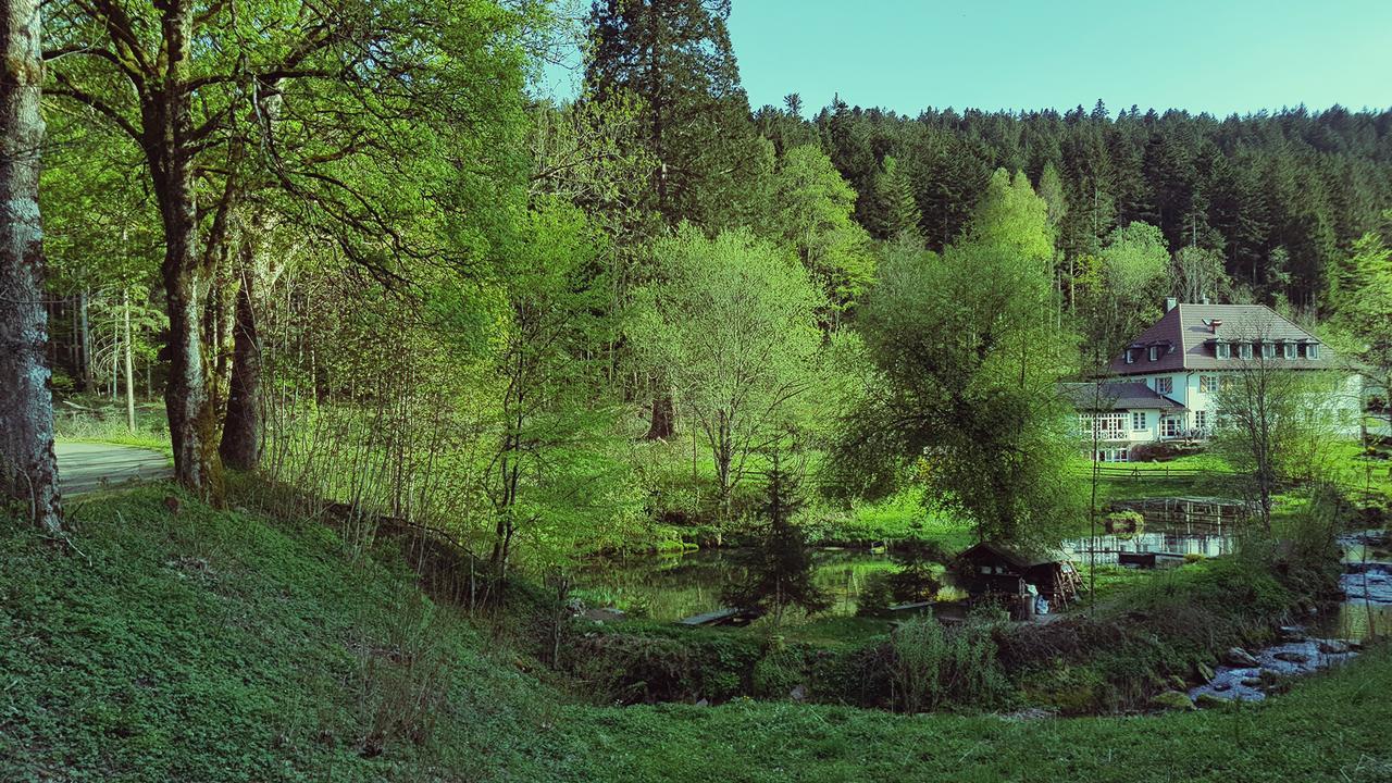 Gut Lauterbad Hotel Freudenstadt Luaran gambar